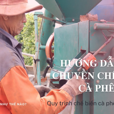 Dây chuyền sơ chế cà phê sạch | Quy trình chế biến cà phê Honey VN | Hướng dẫn cách làm