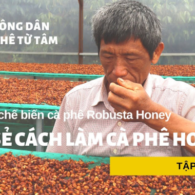 Chia sẻ cách làm cà phê Honey, cà phê làm từ tâm  Quy trình chế biến cà phê Honey VN | Tập đặc biệt